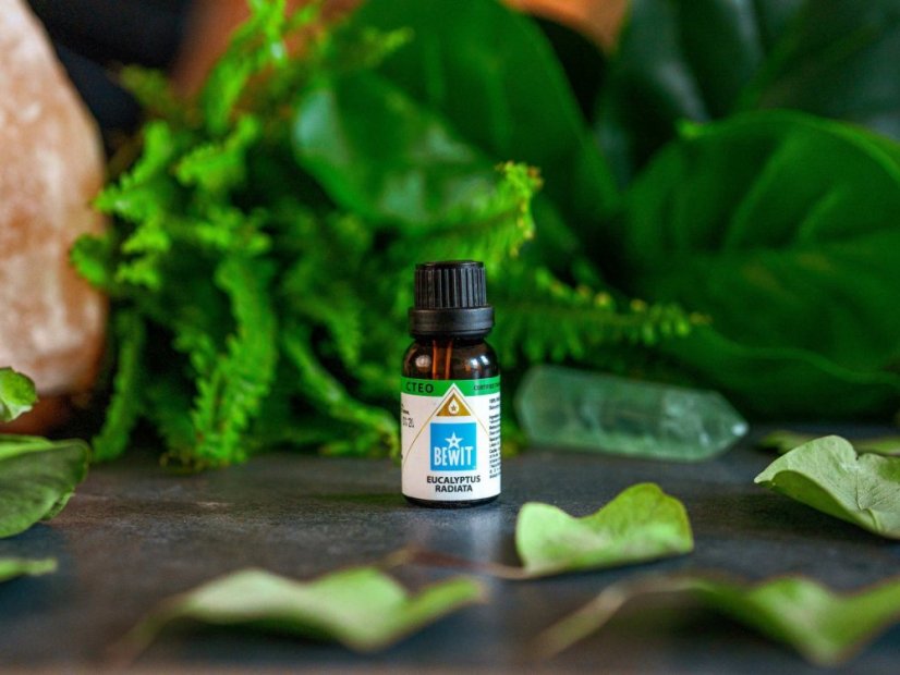 🌿 BEWIT Eukalyptus Radiata – 100% čistý esenciálny olej 15 ml