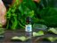 🌿 BEWIT Eukalyptus Radiata – 100% čistý esenciálny olej 15 ml