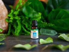 🌿 BEWIT Eukalyptus Radiata – 100% čistý esenciálny olej 15 ml