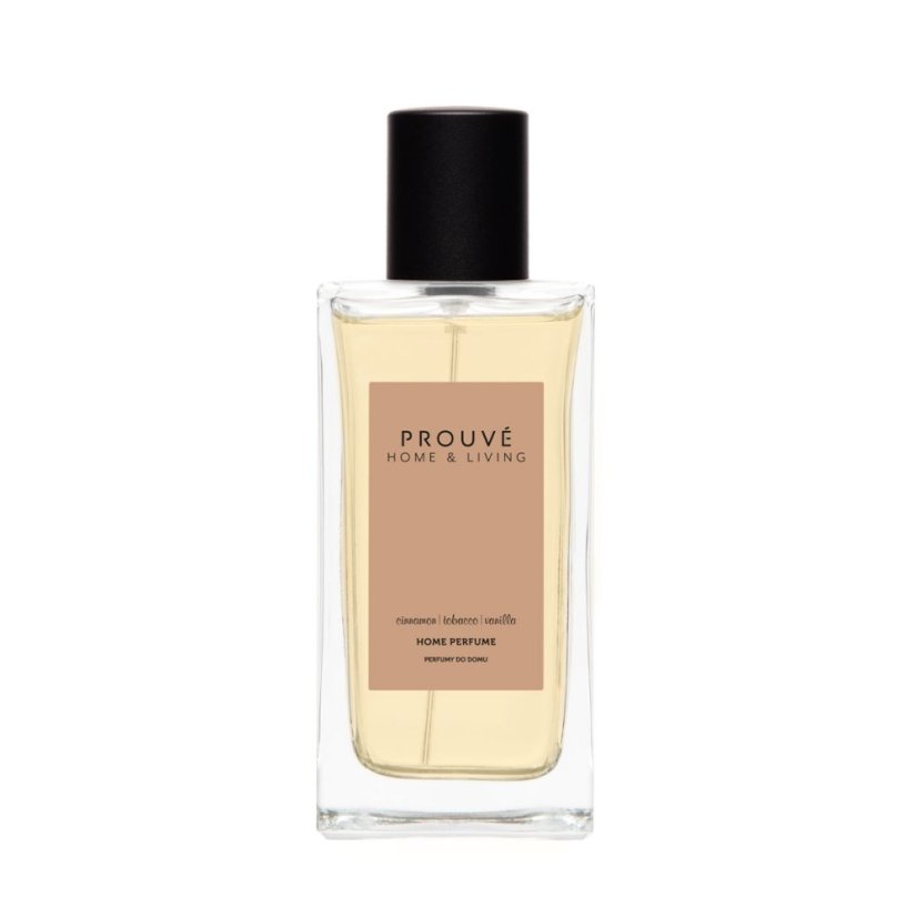 Zimný interiérový parfém (100 ml)