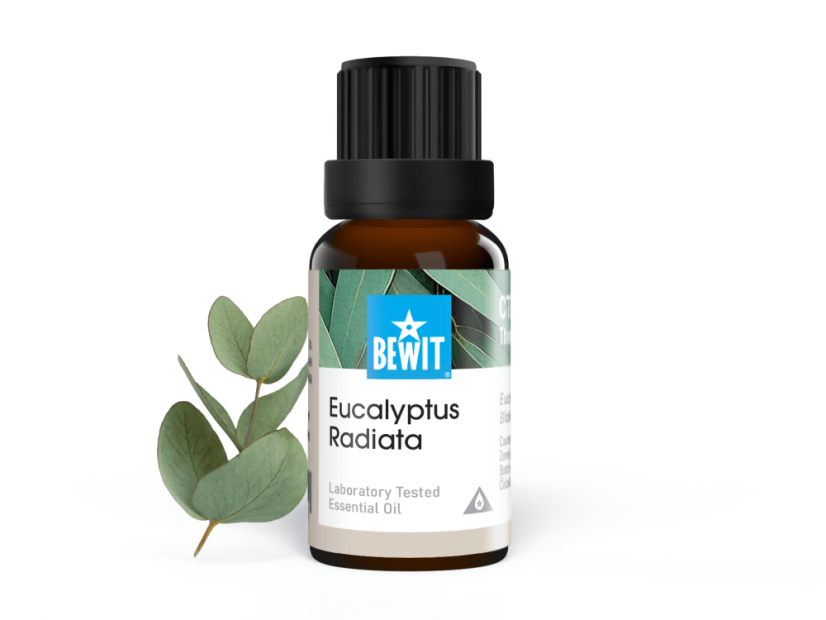 🌿 BEWIT Eukalyptus Radiata – 100% čistý esenciálny olej 15 ml
